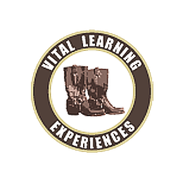 Vital Learning Experiences